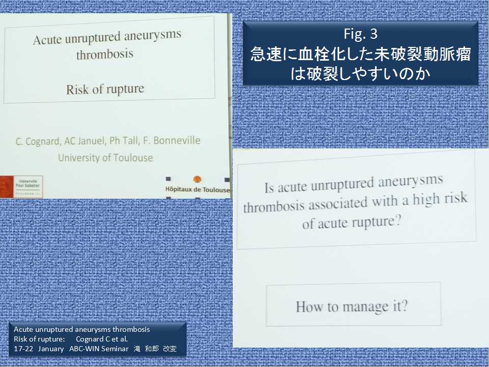 fig03