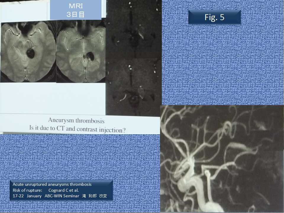 fig05