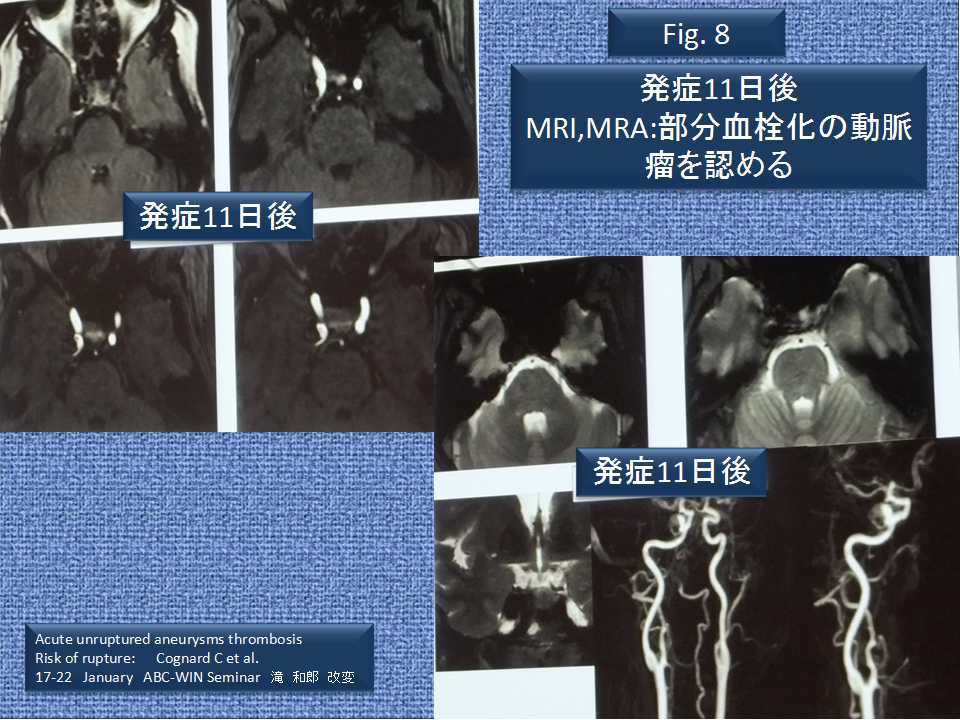 fig08
