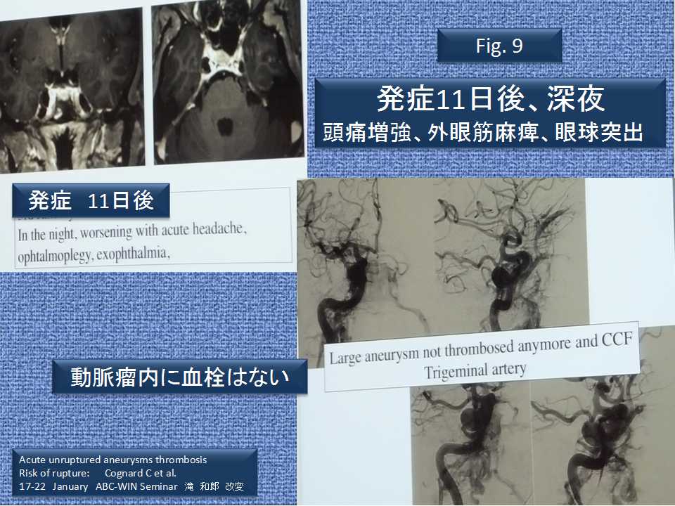 fig09