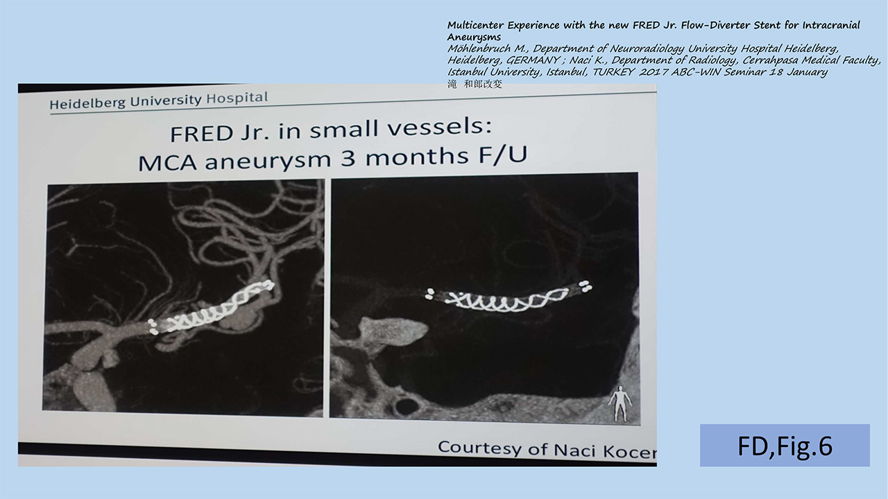 fig06
