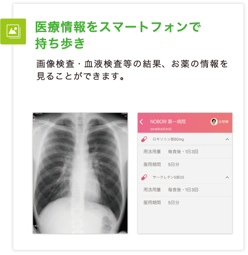 画像検査・血液検査等の結果、お薬の情報を見ることができます。